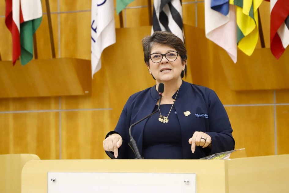 maria amélia pede projeto de lei para anistia de débitos para mei me e epp 945x630